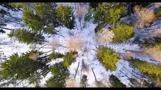 Мельница (снято на XIAOMI MI DRONE 4K)