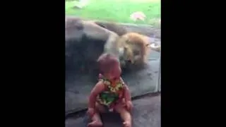 Lion & Baby