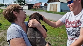 😯В жизни 💔бездомного 🐕щенка Демида произошло одно событие | никто не ожидал такого поворота | Puppy