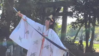 [Dragon God and Miko Dance] Divine and precious video of spirits and gods' light flitting about.