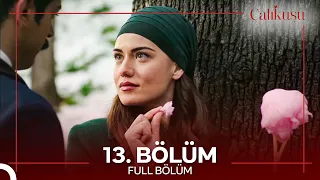 Çalıkuşu 13. Bölüm