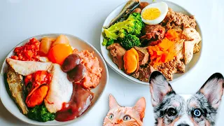 Why Homemade Diets Are The Best For Your Pet