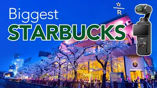 Tokyo's Largest Starbucks During Cherry Blossom Season!