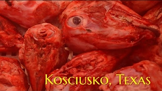 ''Kosciusko, Texas'' by J.F. Sindel | Creepypasta