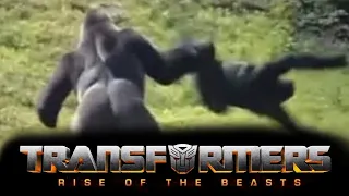 TRANSFORMERS RISE OF THE BEASTS - ЭТО П..ЗДЕЦ