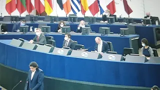 Deutsch Tamás felszólalt az Európai Parlamentben
