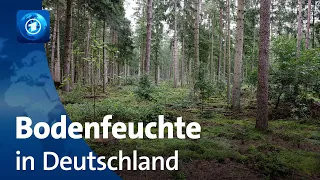Deutscher Wetterdienst: Vorhersage der Bodenfeuchte in Deutschland