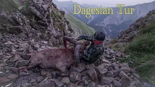 Tur Hunt Azerbaijan