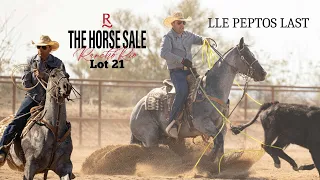 LLE Peptos Last | Pullara Performance Horses | Lot 21 | The Horse Sale at Rancho Rio