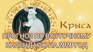 ПРОГНОЗ ДЛЯ КРЫСЫ(МЫШИ) НА 2020 ГОД/FORECAST FOR RAT (MOUSE) FOR 2020