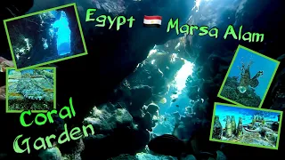 Marsa Alam 🇪🇬Diving 🤿 Boot 🛥️ Trip_Coral Garden  🌊🪸 Wrack and Cave  🐡🐠