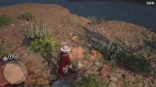 RDR2 Arthur in Mexico- watch your step