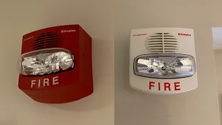 Basement Fire System Test 18 | Simplex Truealert Horn/Strobes