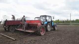 Посевная кампания в Свердловской области преодолела «экватор»