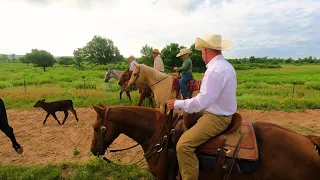 I have never branded in July. #ranch #cattle #horses