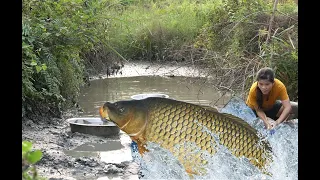 Block the Water to catching many crabs, eels and fish  | Innovative Fishing Techniques