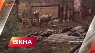 ГУСАРІВКА - що лишили по собі окупанти  під Балаклією на Харківщині