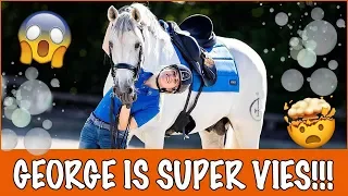 Hoe maak ik George op zijn mooist? | PaardenpraatTV