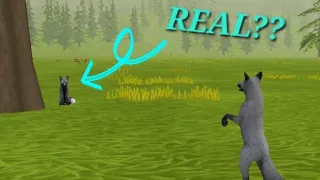 GHOST FOX HUNTING!! (First Wildcraft Video!)