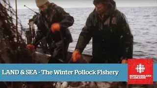 Land & Sea - The Pollock Fishery - Full Episode