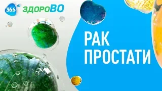 Рак Простати Не Вирок | Лікар-Уролог про Головне | ЗдороВО