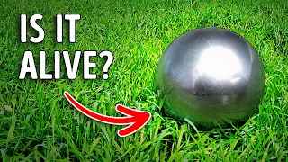 How the Betz Family Fooled Everyone With Their Sphere