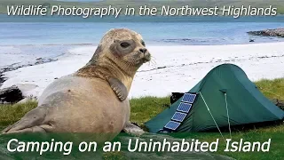Exploring an Uninhabited Island | Wildlife Photography & Wild Camping | Nikon Z7 + 300mm f/2.8G VRII
