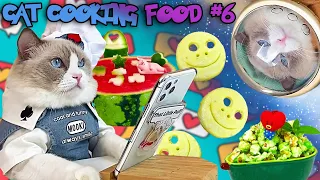 Cat cooks food #6 (funny cat cooking actions) cute animals 79