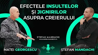 Efectele insultelor și jignirilor asupra creierului