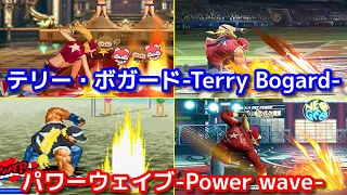 【Evolution】-Terry Bogard's Power wave-   テリー・ボガード パワーウェイブ 【SNK】