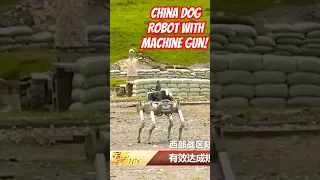 China robot dog with gun! #robot #chatgpt #terminator #china