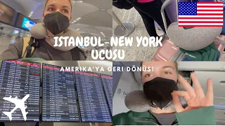 Istanbul-New York Uçuşu✈️🗽AMERIKA'YA geri döndüm!