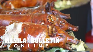 Crispy lechons in display for Cebu's Lechon festival