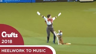 Heelwork to Music - Freestyle International Competition Part 3 | Crufts 2018