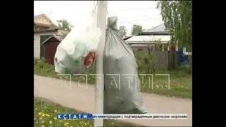 Экономить на безопасности и удобстве жителей решил региональный оператор по сбору мусора