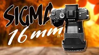 Sigma 16mm F1.4 on the Sony a7iii...