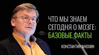 Что мы знаем сегодня о мозге: базовые факты. Константин Анохин