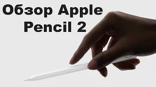 Нужен ли Вам СТИЛУС Apple Pencil 2? - отзывы в Плеер.Ру