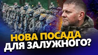 ШЕЙТЕЛЬМАН: ЗАЛУЖНОМУ готують НОВУ посаду? / Реакція УКРАЇНЦІВ розриває мережу