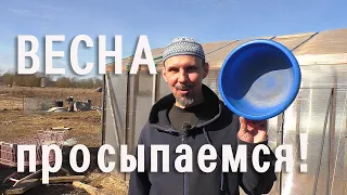 Весна - просыпаемся! 😃