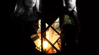 Oliver & Felicity (Arrow) ''Do you understand?''  '' YES. ''  | Season 1 - 4x09