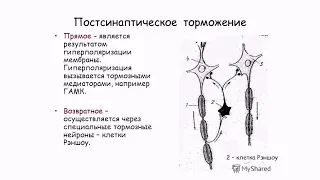 Центральное торможение