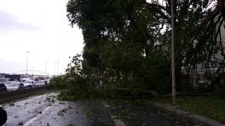 Dégâts après l'orage dans le centre-ville d'Angers 1