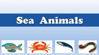 Sea animals name | Animals name| Sea animals in English| Water animals |