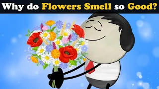 Why do Flowers Smell so Good? + more videos | #aumsum #kids #science #education #children