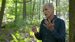 Marcelo Gleiser:  The Aesthetics of the Imperfect