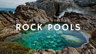 The Secret Life of Rock Pools