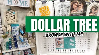 NEW Finds at DOLLAR TREE • Shop with me 2024
