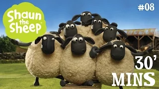 Những Chú Cừu Thông Minh - Tập 8 [30 phút]