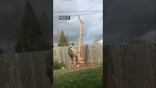 I learned how to climb on tree spikes.